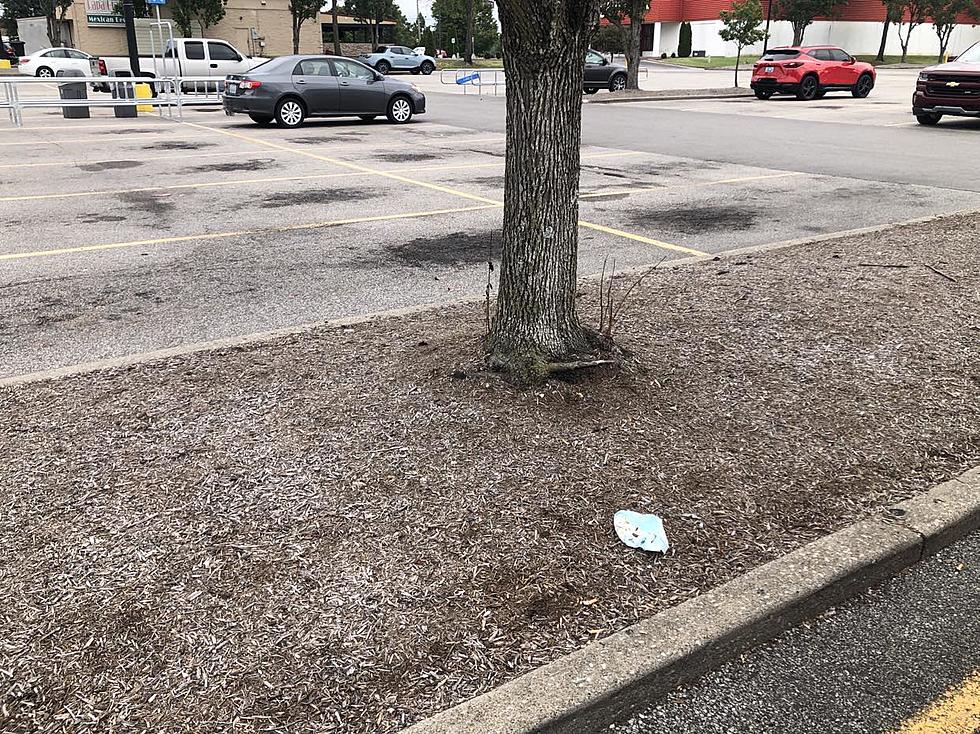 Why Do Some of Our Fellow Kentuckians Leave Dirty Diapers in Parking Lots?
