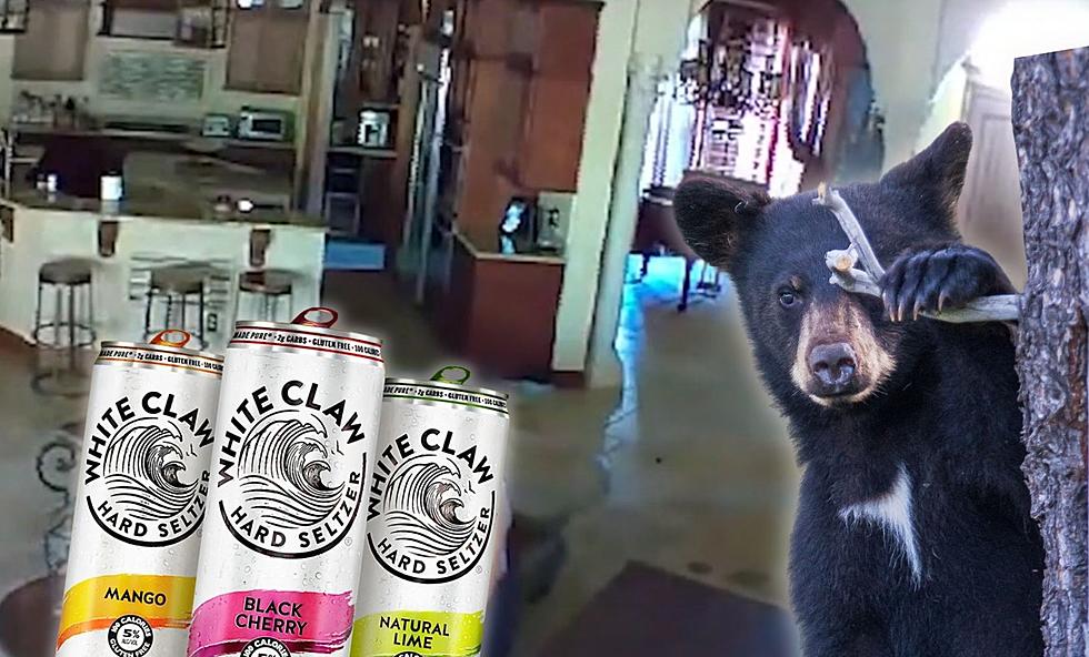 [VIDEO] Three-Legged Florida Bear Breaks Into Home: Tells Kentucky Cocaine Bear to “Hold my White Claw”