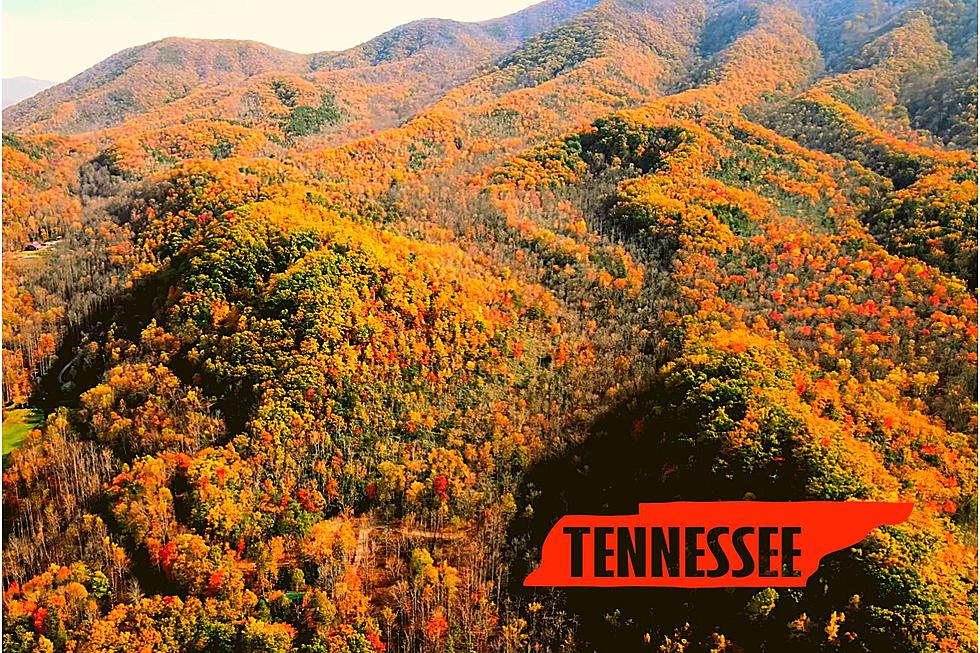 The Best Times and Locations for East TN Fall Foliage Viewing