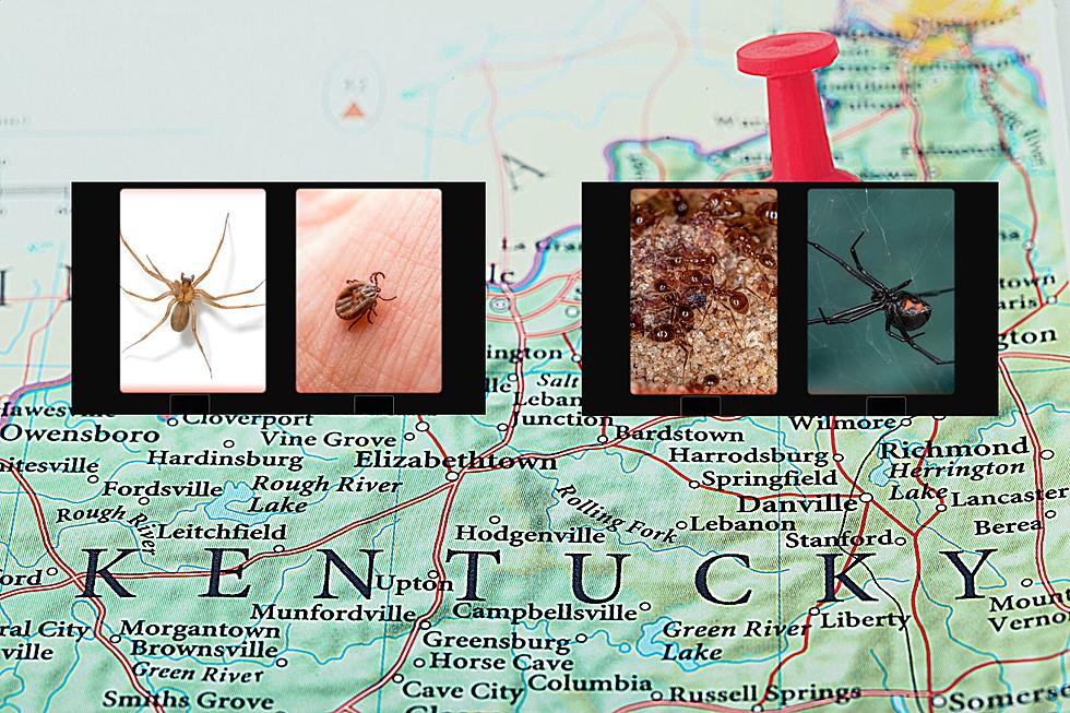 For Better or Worse, Eight of the World’s Most Dangerous Bugs Can Be Found in KY