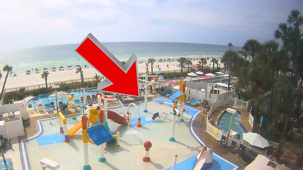 Kentucky Mom's Epic Florida Waterpark Fail [VIDEO]