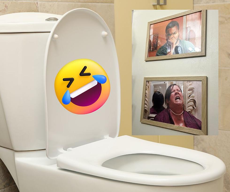 Owensboro Family's Hilarious Bathroom Art