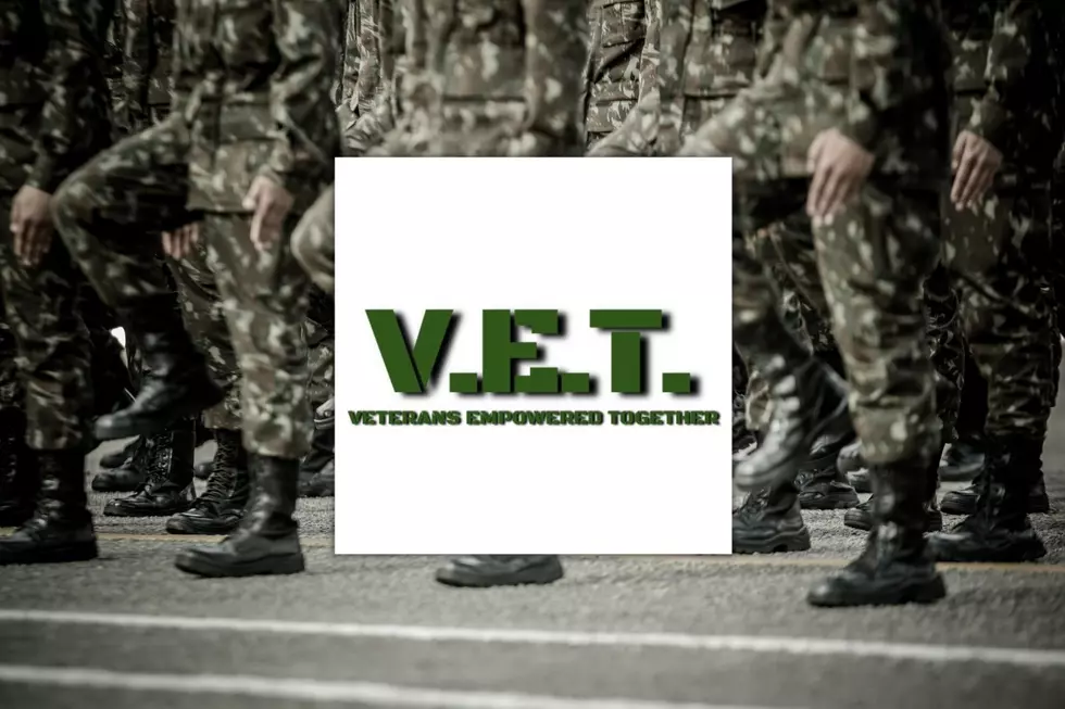 V.E.T /CANVA