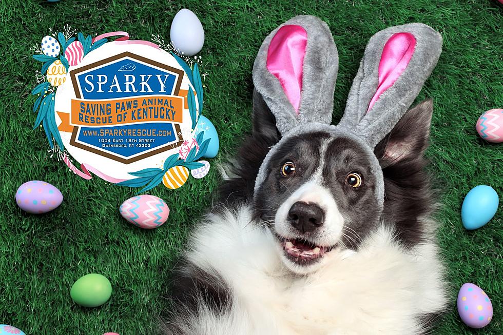 Get Egg-cited! Kentucky Animal Rescue Hosting 11th Annual Easter Bone Hunt