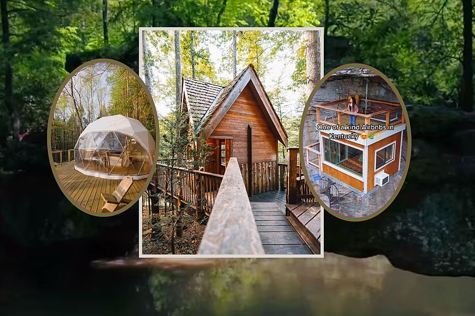 There Are Incredible Treehouses in KY and You Can Stay in Them