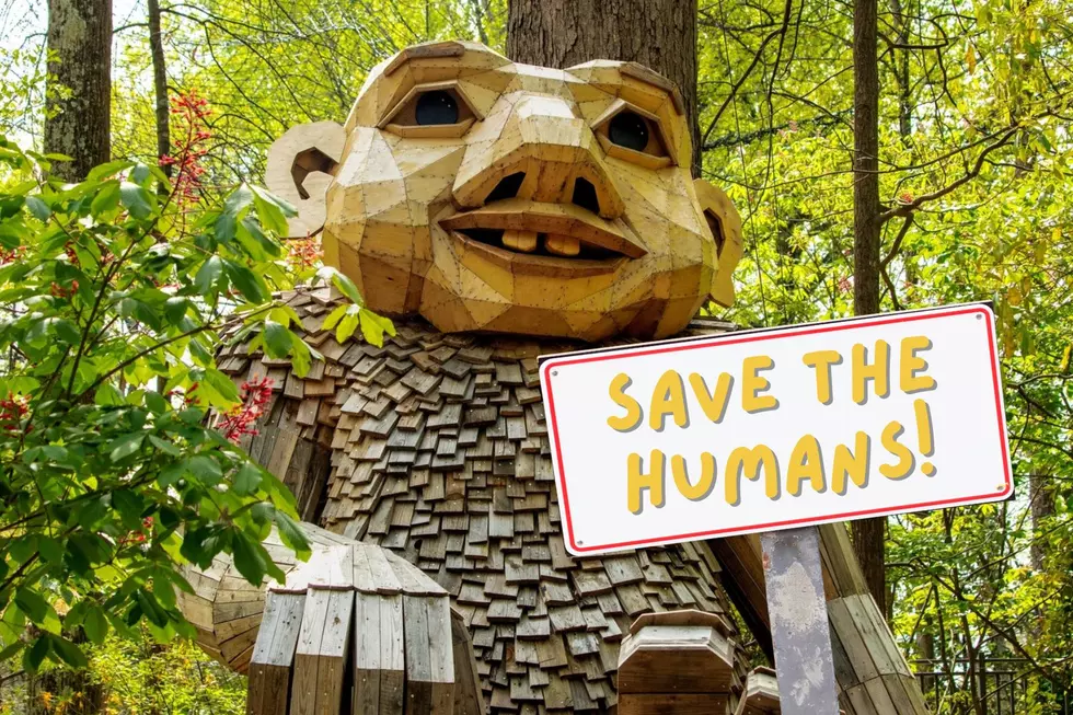 Trolls Are Coming to Nashville to "Save the Humans"