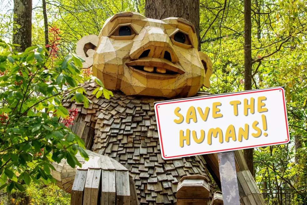 Trolls Are Coming to Nashville to “Save the Humans”