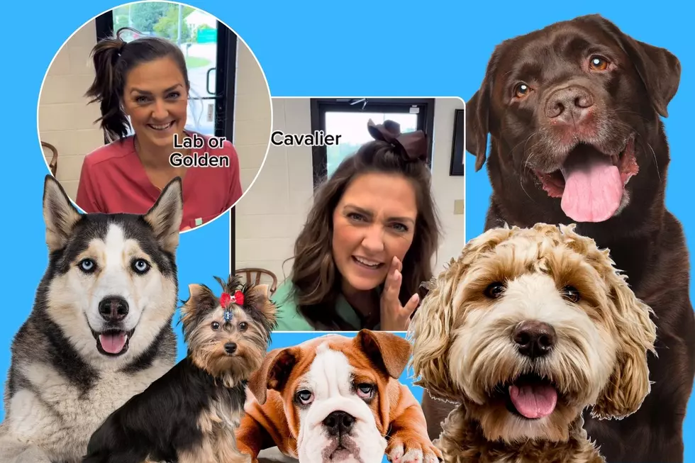 Tennessee Veterinarian Shares Hysterically Accurate Dog Breed Impressions