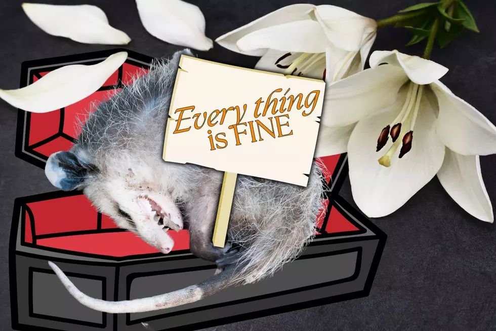TN Wildlife Rescue Has Daily Funeral For Their Resident Possum