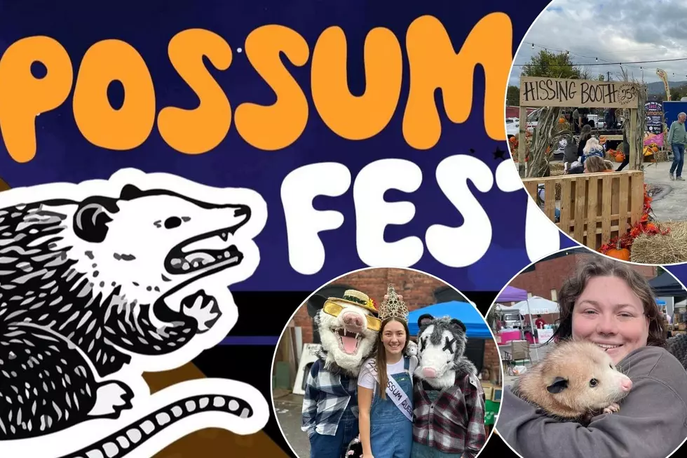 Celebrate the Trash Cat! Kentucky PossumFest Returns for 2024