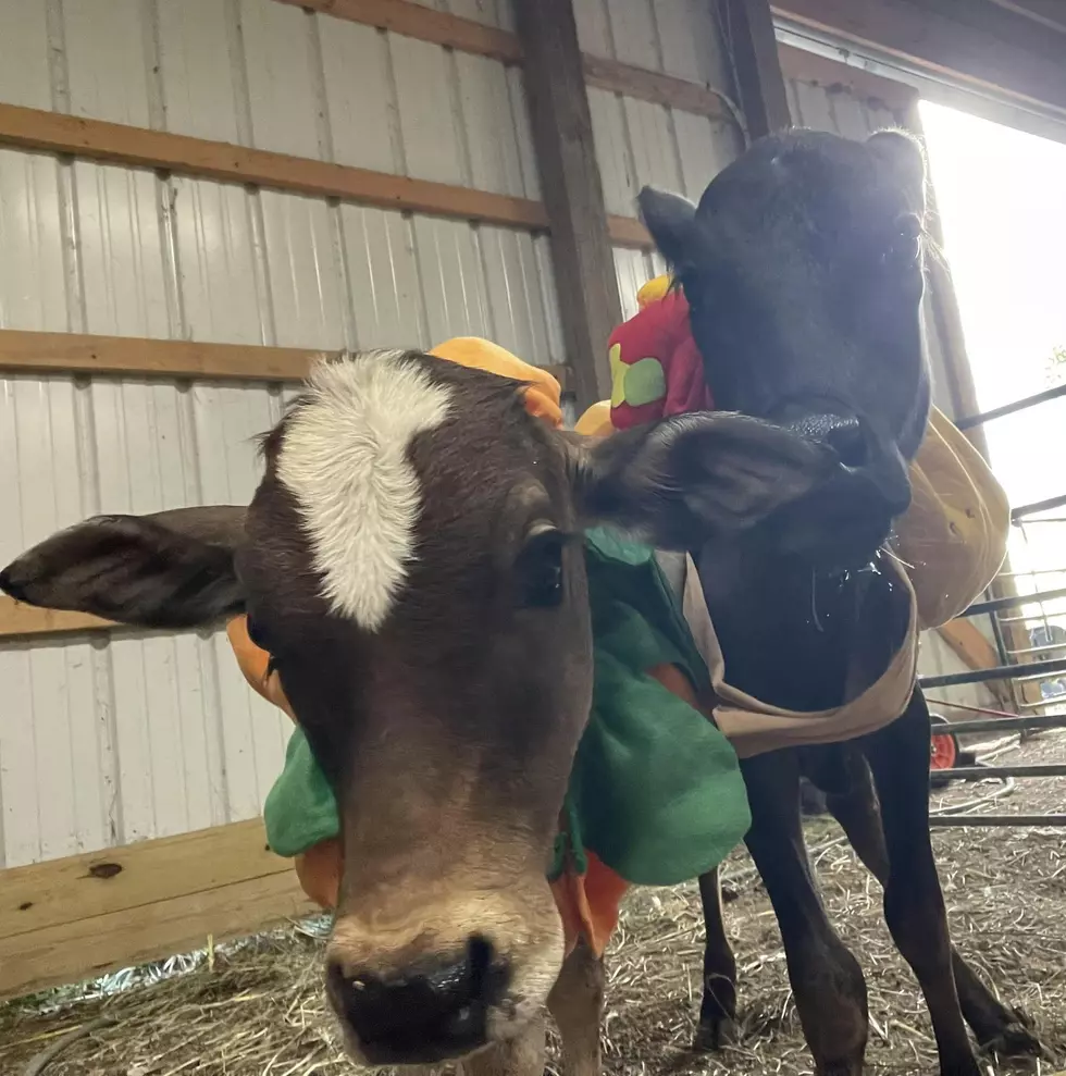 Cottonwood Ridge Farm