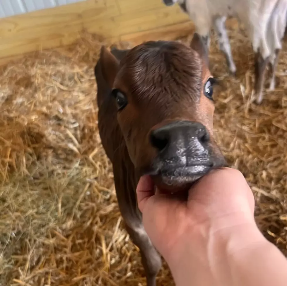 Cottonwood Ridge Farm