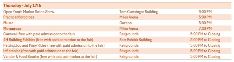 Daviess County Lions Club Fair
