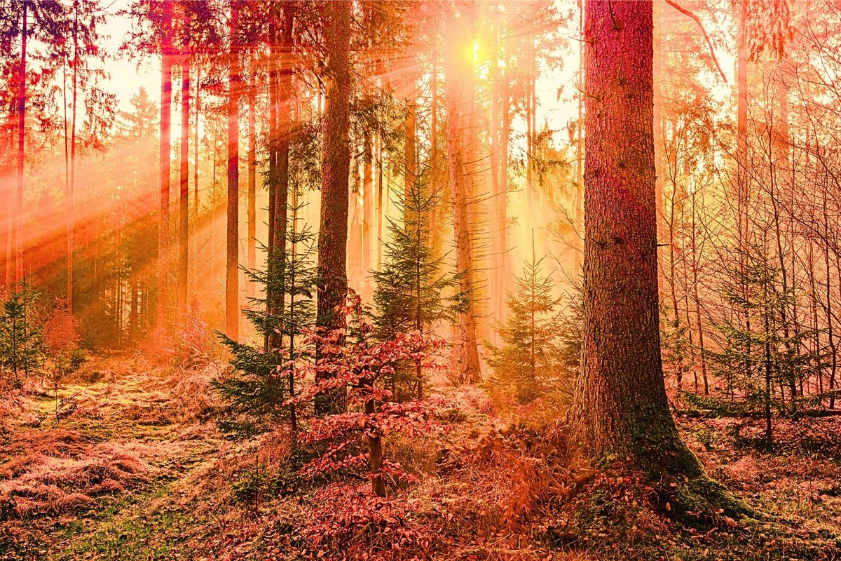 The Old Farmer's Almanac Shares Good News With KY Fall Forecast