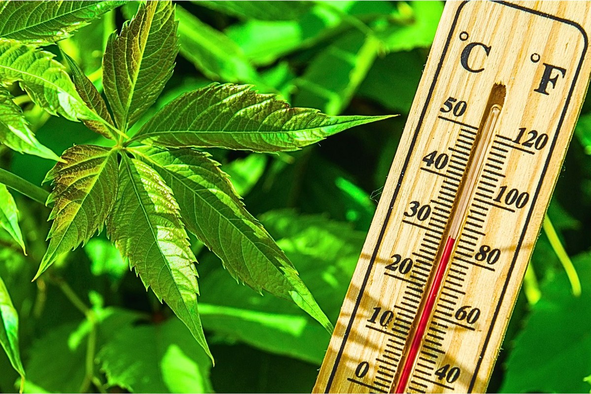 Relief at Last as Kentucky and Indiana Prep for Early Autumn-Like Temperatures This Weekend