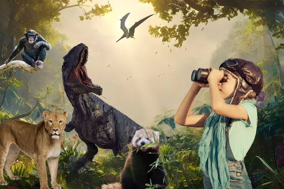 Giant Animatronic Animals and Dinosaurs Are Coming to Town!