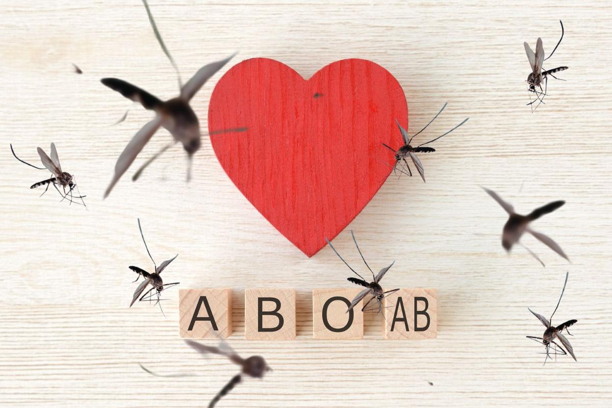 I Don't Know My Blood Type, But Mosquitoes Do