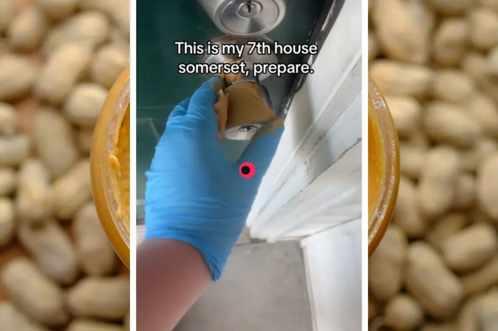 CANVA/Tiktok