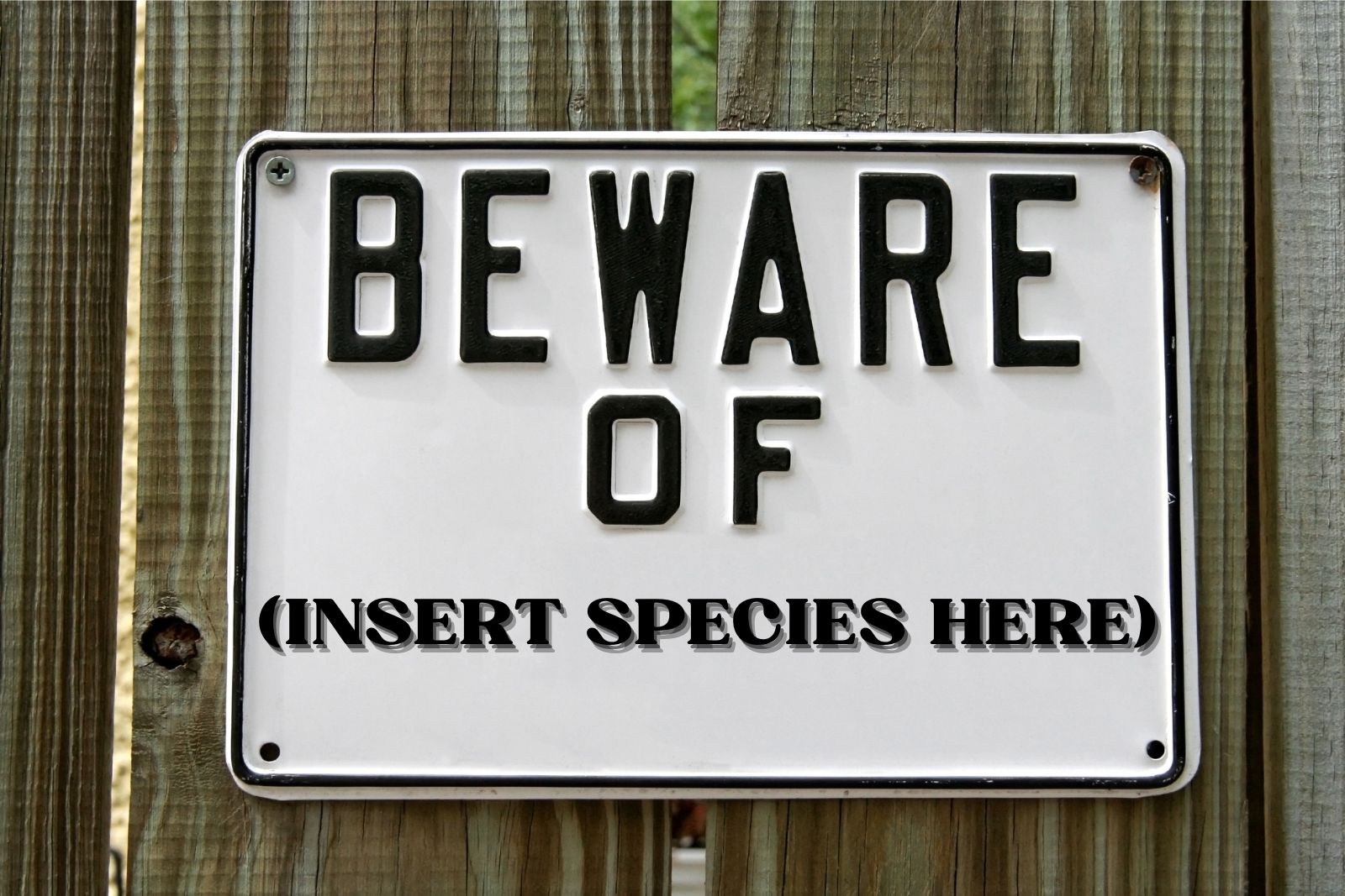 16 of the Most Dangerous Animals Found in Kentucky