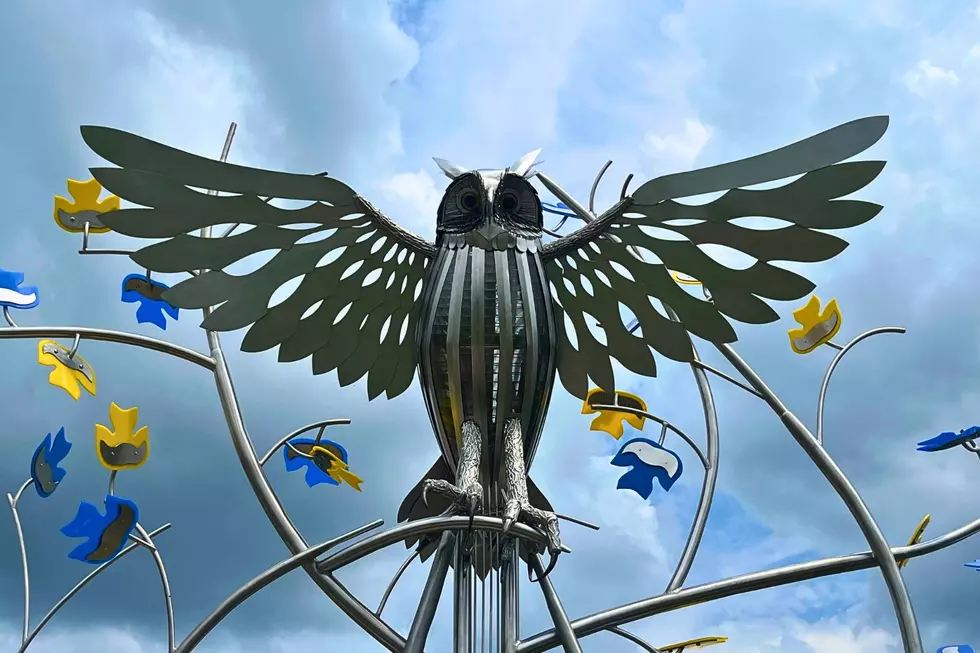 There’s a Stunning New Owl Greeting Visitors to Yellow Creek Park