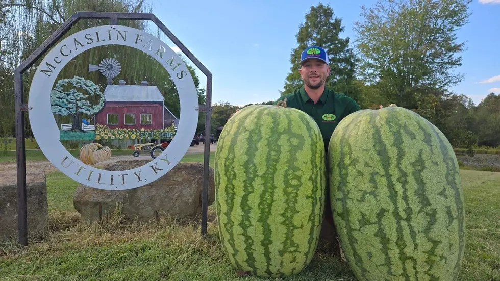Get Ready For the First Ever Kentucky Giant Growers Bluegrass Championship Weigh-Off