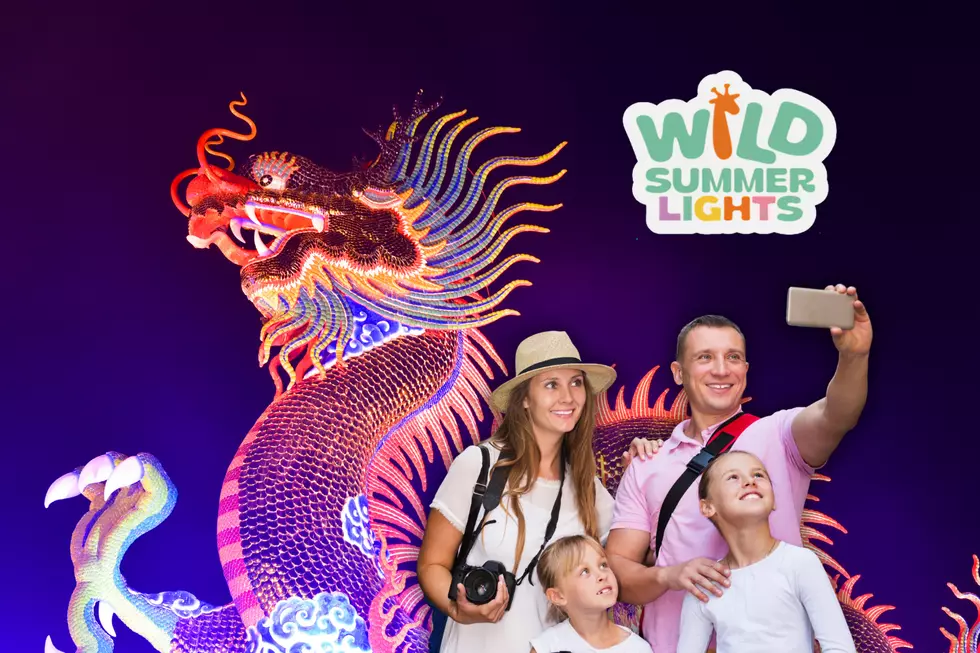Wild Summer Lights Is Lighting Up Mesker Park Zoo in Evansville, Indiana