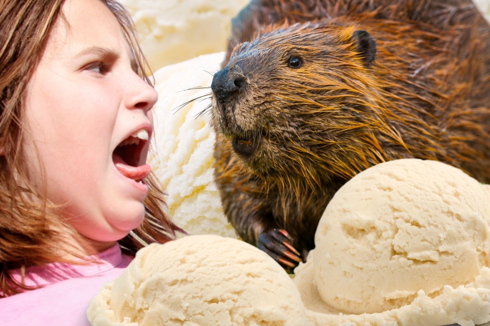 That Viral 'Beaver Butt' Food Rumor Has Us Gagging