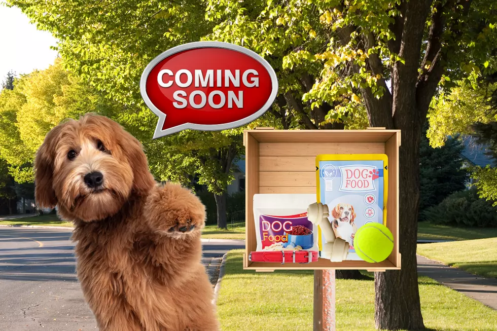 Something Pawsitive Is Coming to Owensboro