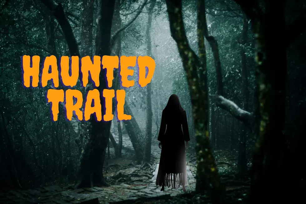 Enter the Woods at Your Own Risk: Baker’s Creek Haunted Trail Is Back