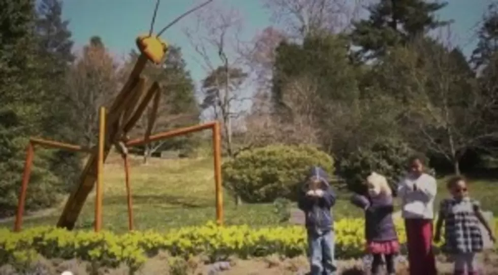 Western Kentucky Botanical Garden Presents &#8211; The David Rogers Big Bugs Sculpture Exhibition