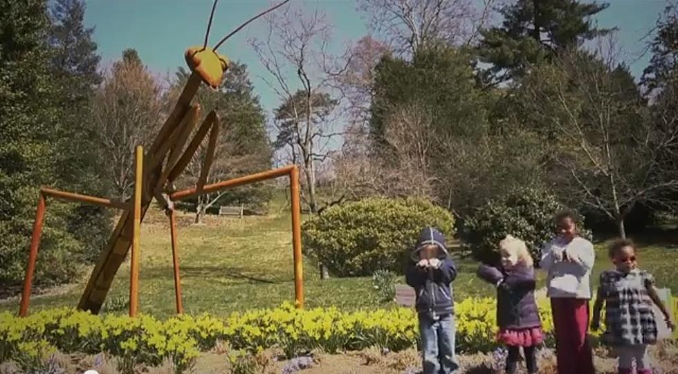 Western Kentucky Botanical Garden Presents – The David Rogers Big Bugs Sculpture Exhibition