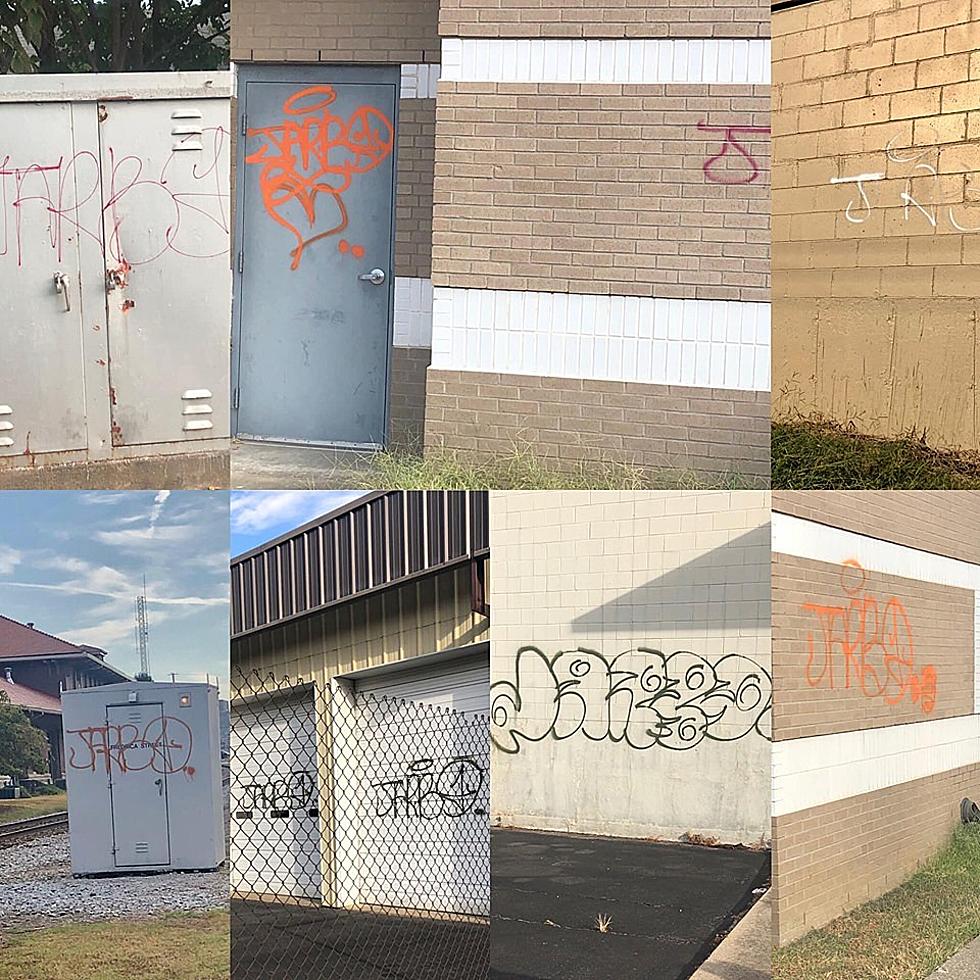 Man Arrested for Vandalism in Owensboro [PHOTOS]