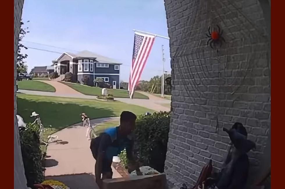 Watch Tennessee Amazon Driver&#8217;s Hilarious Reaction to Halloween Decoration [VIDEO]