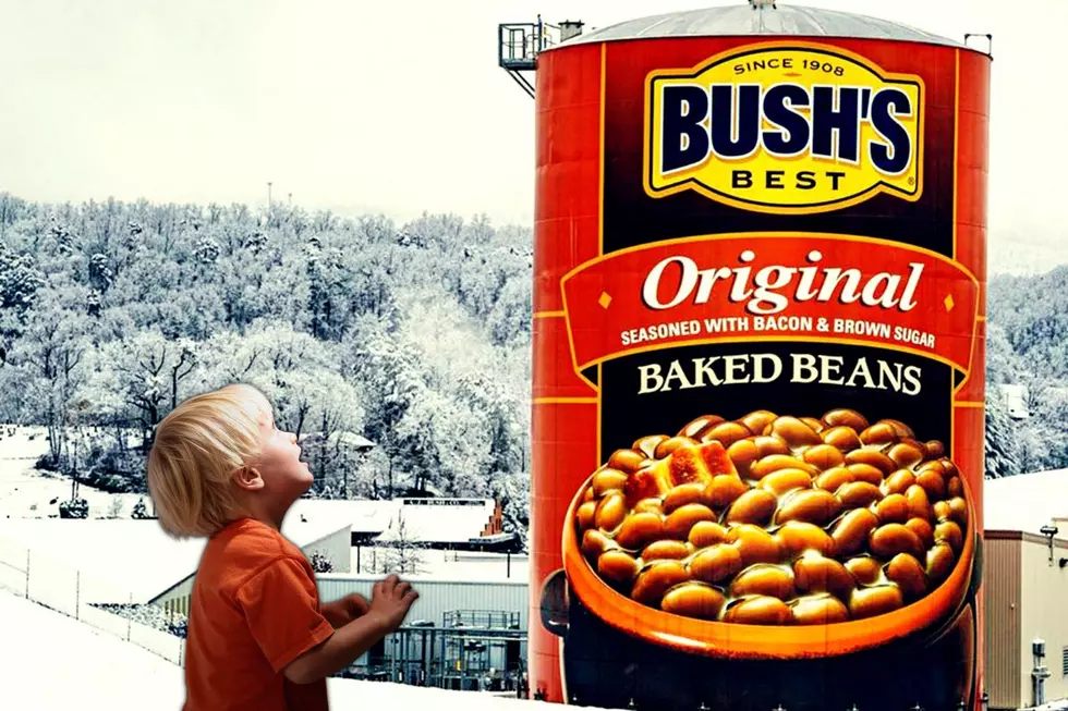 What&#8217;s Up With That Gigantic Can of Beans in the Tennessee Mountains?