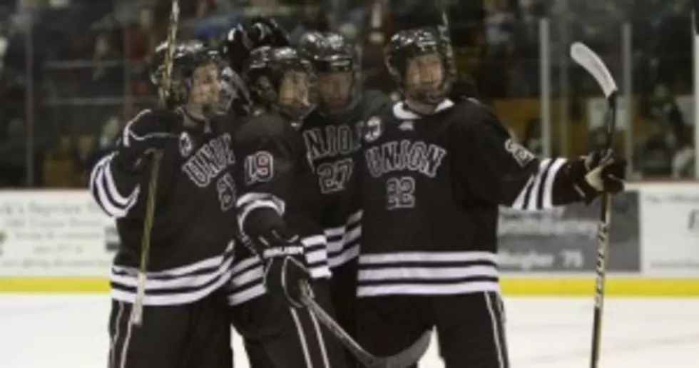 Capital Land Hockey Is Among the Best in the Nation: Part I &#8211; The Union Dutchmen
