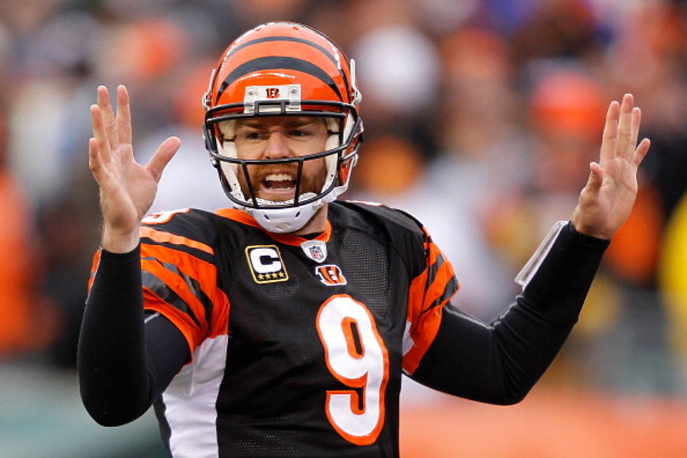 Bengals Shouldn’t Give In To Palmer