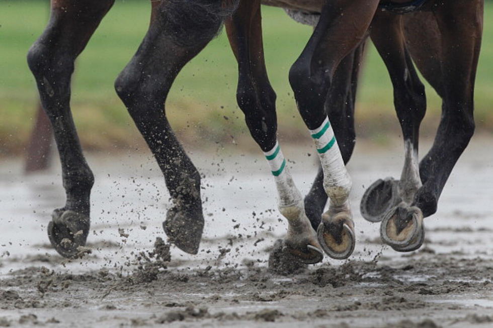 Ruler On Ice Wins Belmont Stakes