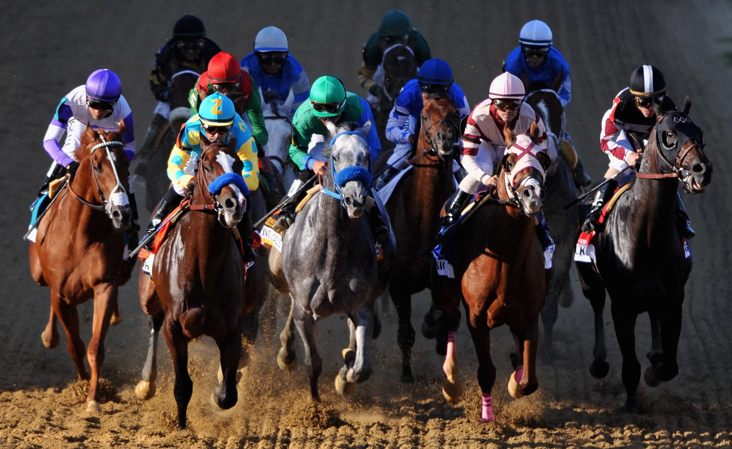 Belmont Stakes Preview Part 2 Race Predictions & What to Bet