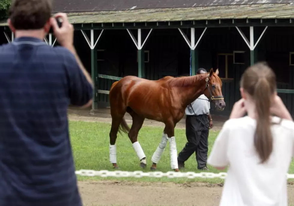 Where Does Funny Cide Rank All Time In Horse Racing?