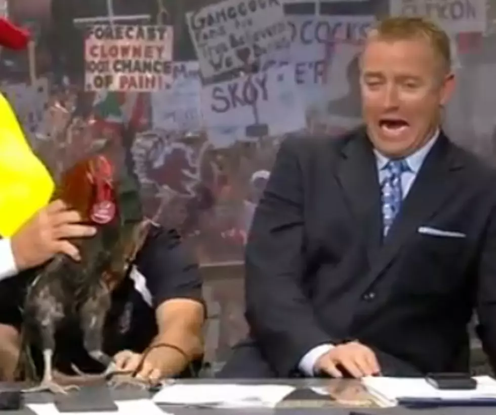 ESPN&#8217;s Kirk Herbstreit Is Terrified Of A Rooster [VIDEO]