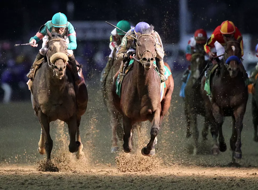 Breeders’ Cup Classic Preview – Betting Tips