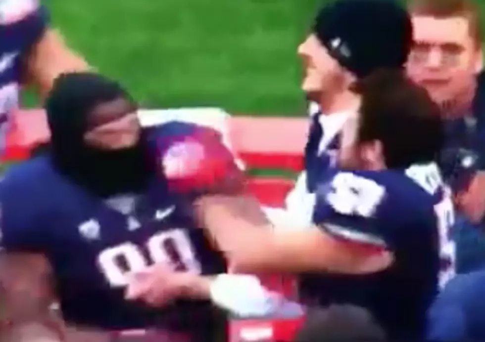 Arizona Football Teammates Fight During New Mexico Bowl [VIDEO]