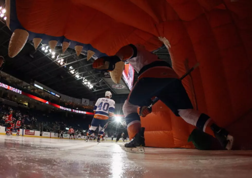 Former Islanders Goaltender Rick Dipietro Leads Bridgeport Over Albany