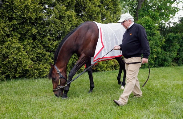 Miguel Cabrera vs. Orb, who's more likely to win Triple Crown