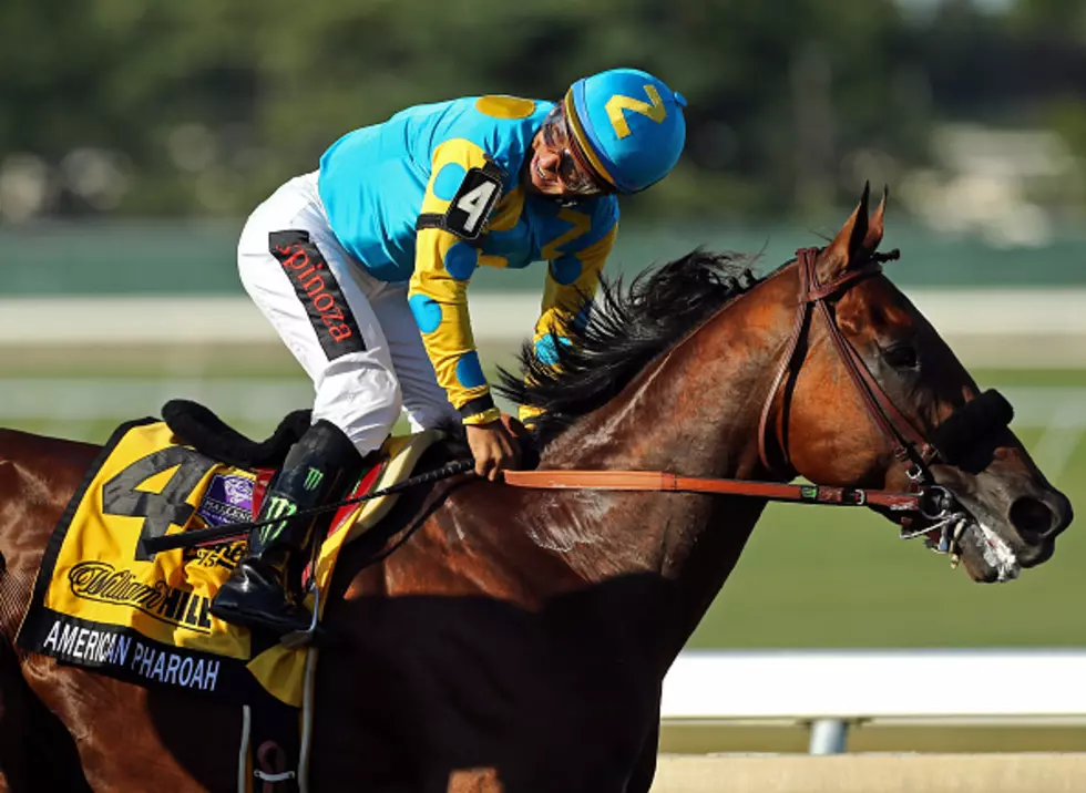 American Pharoah Huge Travers Favorite