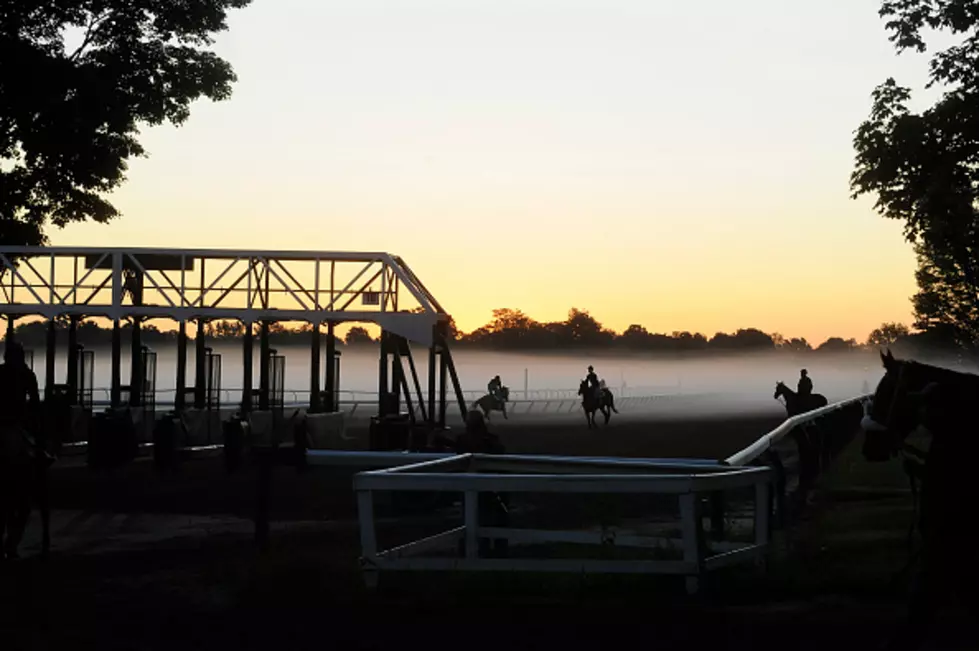 Saratoga Boasts Record Numbers in 2015