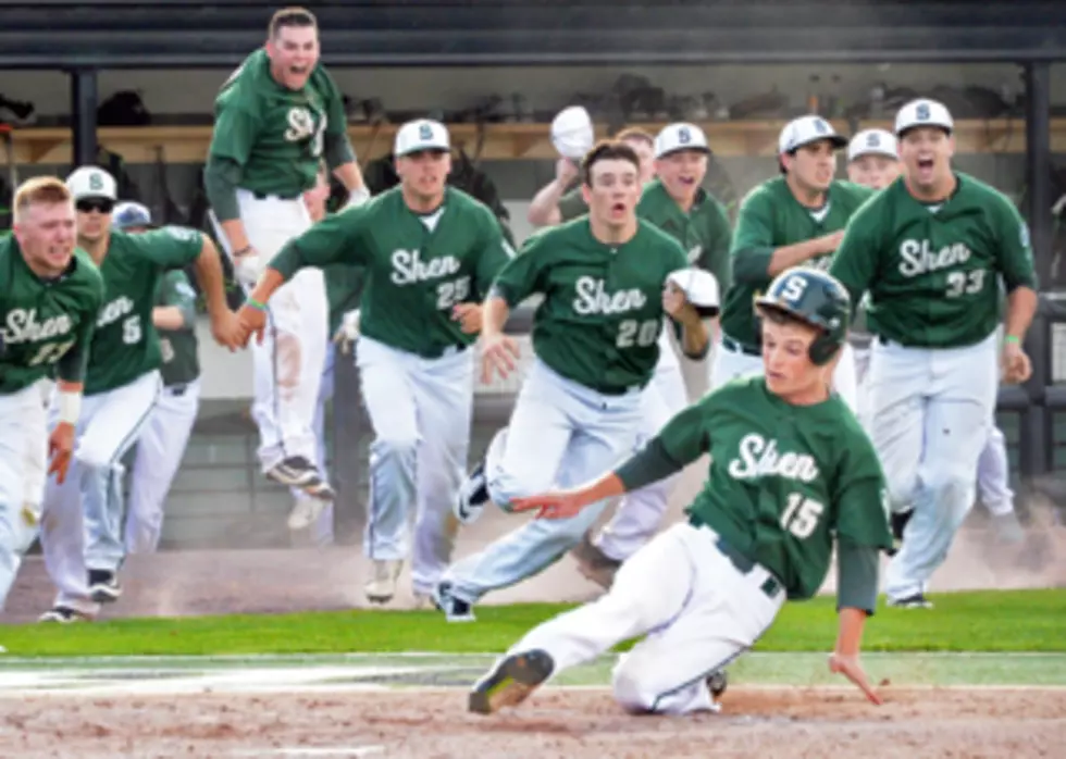Shen Baseball Captures First State Title