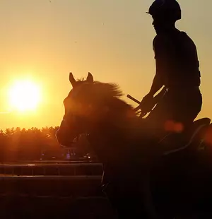 Best Paying Bets at Saratoga