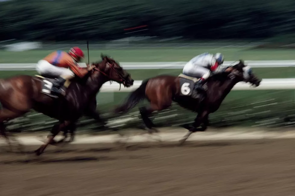 The Taste of Travers Celebration