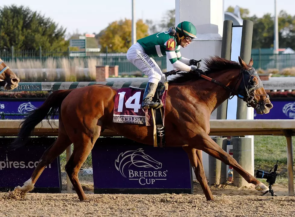 Closers Pegasus World Cup Selections